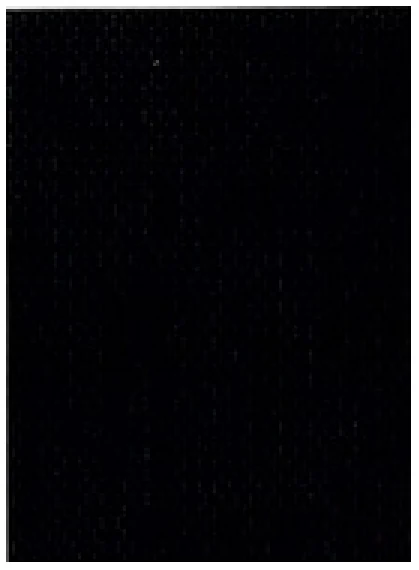 Persiana enrollable New Pinpointe BO FR Black Vertilux